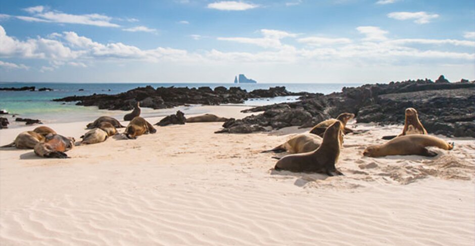 Expedition of a lifetime: Cruising the Galapagos