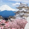 UAE nationals return to Japan at pre-covid levels