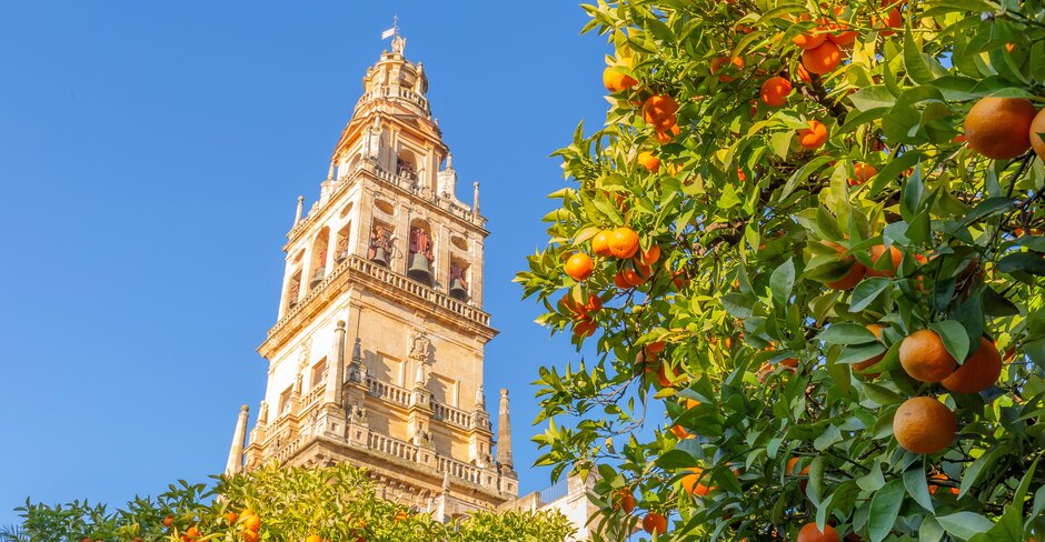 AWFT 2023 to be held in Seville, Spain
